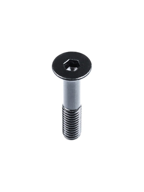 Two Bare Feet Skateboard Bolts and Nuts (Allen/Hex Fit)