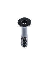 Two Bare Feet Skateboard Bolts and Nuts (Allen/Hex Fit)