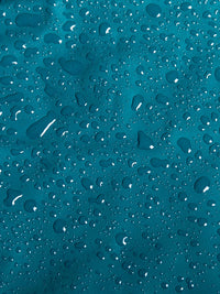 Elemental Waterproof Lightweight Jacket (Sea Green/Raspberry)