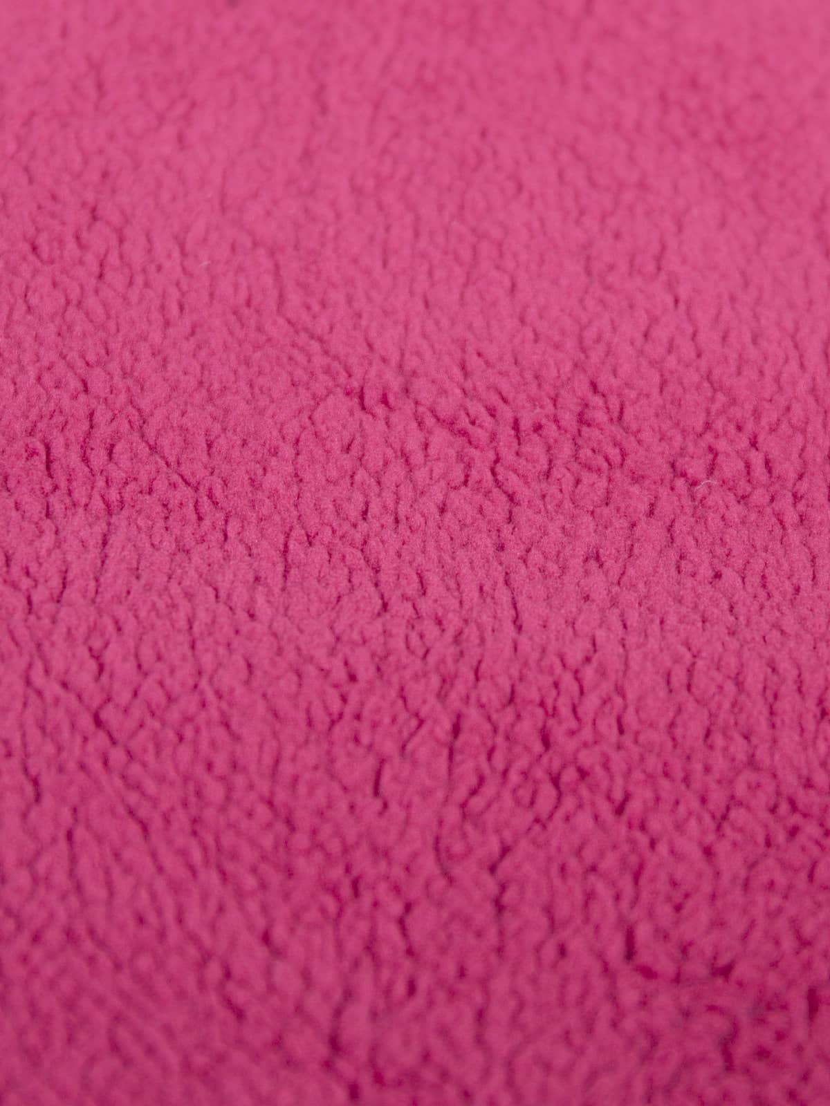 Raspberry