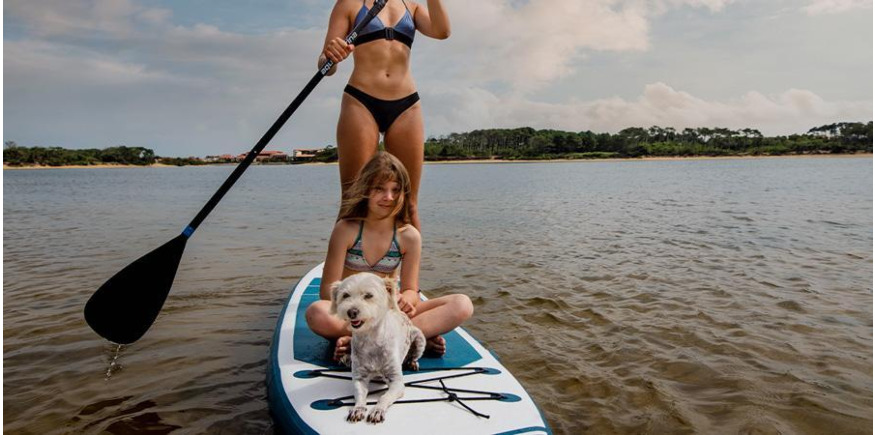 Dog sitting on deck of inflatable paddleboard with family