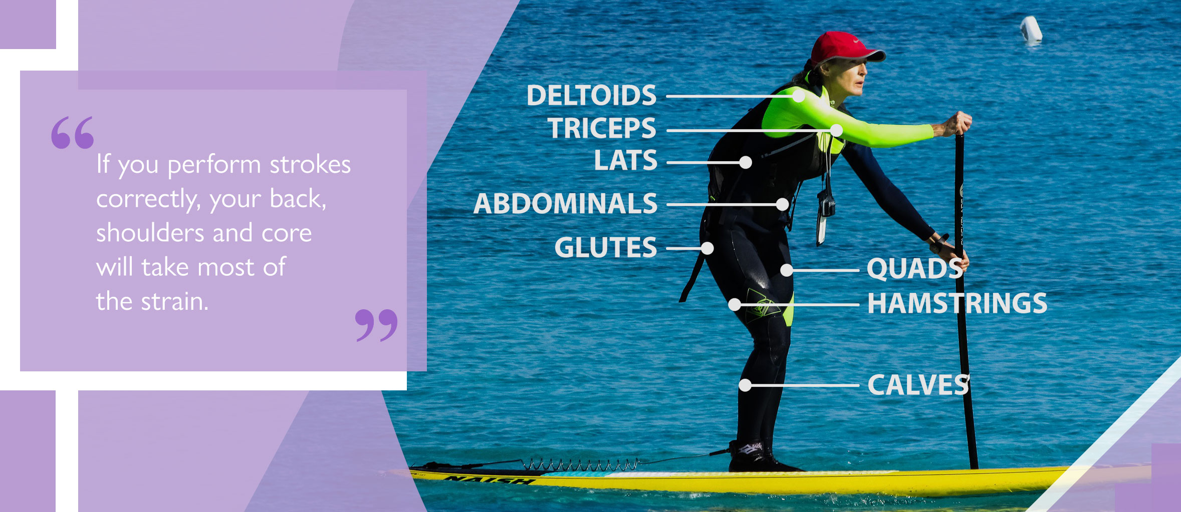 paddleboarding is good exercise infographic