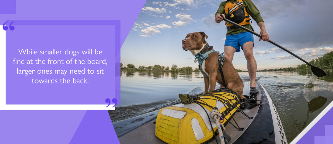 Large dog sat near rear of iSUP while owner holds SUP paddle