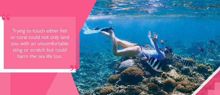 a woman diving near coral with text 'Trying to touch either fish or coral could not only land you with an uncomfortable sting or scratch but could harm the sea life too'