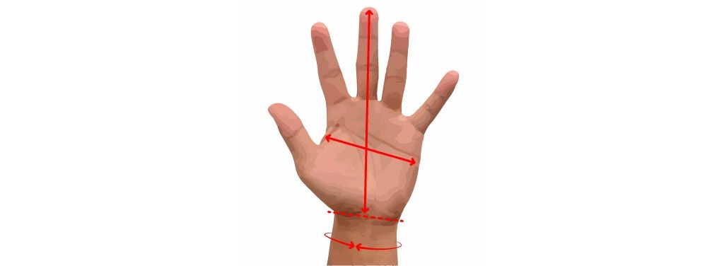 How to measure your hand for wetsuit glove sizing