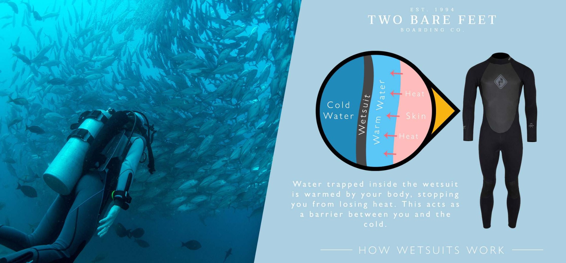how a wetsuit works inforgraphic